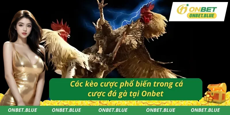 Những kèo cược phổ biến nhất trong đá gà Onbet